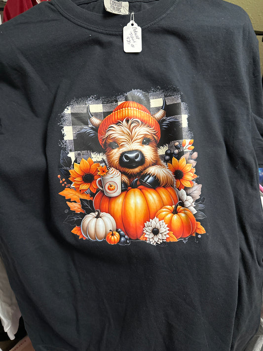 Comfort colors black t shirt pumpkin heifer