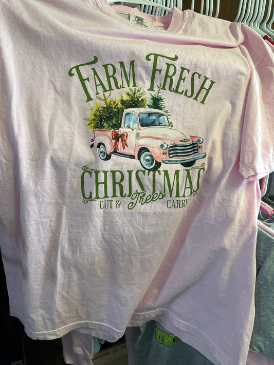 Comfort Colors Light Pink Adult T shirt size 2XL farm fresh
