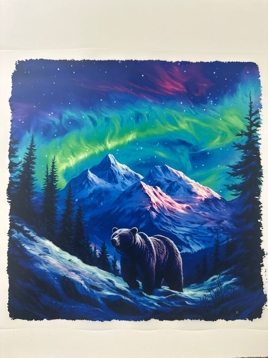 Northern Lights Bear Shirt Transfer
