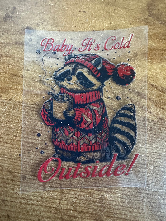 Raccoon-Baby it’s Cold