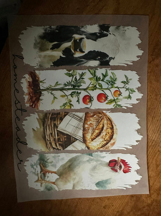 Homesteader Transfer